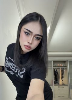 Pimmy🇹🇭 Ladyboy TH - Transsexual escort in Doha Photo 10 of 15