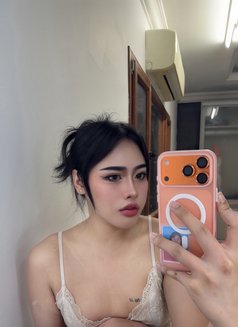 Pimmy🇹🇭 Ladyboy TH - Transsexual escort in Doha Photo 11 of 15