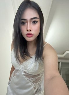 Pimmy🇹🇭 Ladyboy TH - Transsexual escort in Doha Photo 12 of 15
