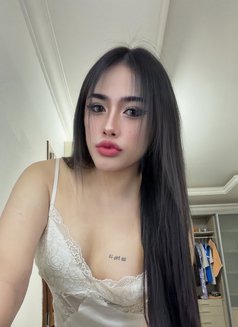 Pimmy🇹🇭 Ladyboy TH - Acompañantes transexual in Doha Photo 16 of 18