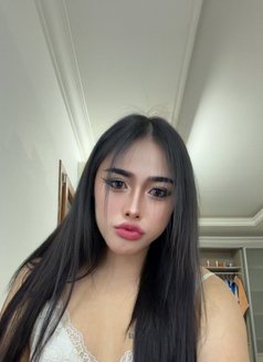 Pimmy🇹🇭 Ladyboy TH - Acompañantes transexual in Doha Photo 18 of 18