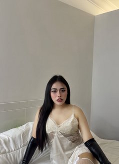 Pimmy🇹🇭 Ladyboy TH - Transsexual escort in Doha Photo 9 of 17