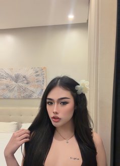 Pimmy🇹🇭 Ladyboy TH - Transsexual escort in Jeddah Photo 5 of 15
