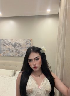 Pimmy🇹🇭 Ladyboy TH - Transsexual escort in Jeddah Photo 6 of 15