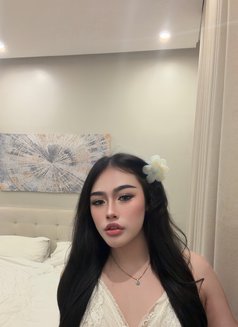 Pimmy🇹🇭 Ladyboy TH - Transsexual escort in Jeddah Photo 7 of 15