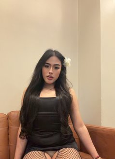 Pimmy🇹🇭 Ladyboy TH - Transsexual escort in Jeddah Photo 8 of 15