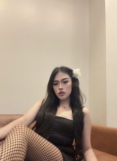 Pimmy🇹🇭 Ladyboy TH - Transsexual escort in Jeddah Photo 9 of 15