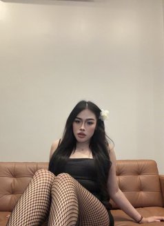 Pimmy🇹🇭 Ladyboy TH - Transsexual escort in Jeddah Photo 10 of 15