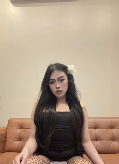 Pimmy🇹🇭 Ladyboy TH - Transsexual escort in Jeddah Photo 11 of 15