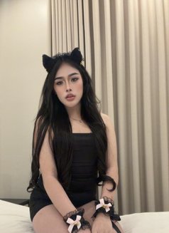 Pimmy🇹🇭 Ladyboy TH - Transsexual escort in Jeddah Photo 12 of 15