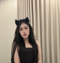 Pimmy Ladyboy Hodg Dick in Jesda🇹🇭 - Transsexual escort in Jeddah Photo 11 of 24