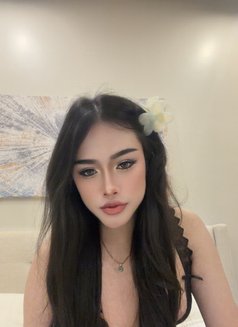 Pimmy🇹🇭 Ladyboy TH - Transsexual escort in Jeddah Photo 13 of 15