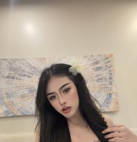Pimmy new Ladyboy Hot Dick in Riyadh🇹🇭 - Transsexual escort in Riyadh
