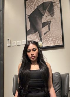 Pimmy🇹🇭 Ladyboy TH - Transsexual escort in Jeddah Photo 15 of 15