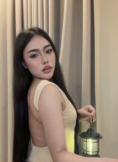 Pimmy🇹🇭 Ladyboy TH - Transsexual escort in Jeddah Photo 17 of 17