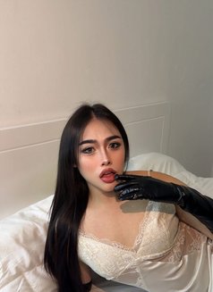 Pimmy Ladyboy Hodg Dick in Jesda🇹🇭 - Transsexual escort in Jeddah Photo 22 of 24