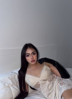 Pimmy Ladyboy Hodg Dick in Jesda🇹🇭 - Transsexual escort in Jeddah Photo 23 of 24