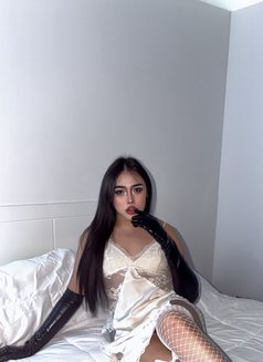 Pimmy Ladyboy Hodg Dick in Jesda🇹🇭 - Transsexual escort in Jeddah Photo 24 of 24