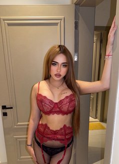 Pimmy new Ladyboy Hot Dick in Riyadh🇹🇭 - Transsexual escort in Riyadh Photo 5 of 18