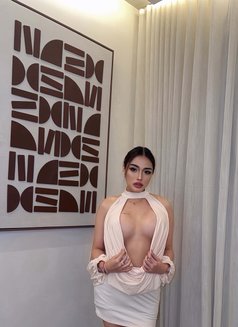 Pimmy new Ladyboy Hot Dick in Riyadh🇹🇭 - Transsexual escort in Riyadh Photo 4 of 10