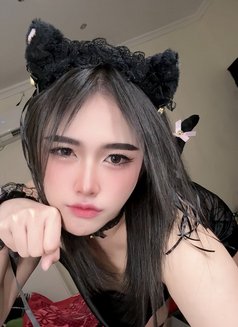 Pimmy🇹🇭 - Acompañantes transexual in Doha Photo 4 of 8