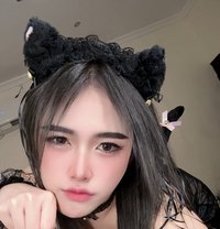 Pimmy - Transsexual escort in Doha Photo 4 of 8