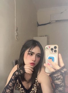 Pimmy🇹🇭 - Acompañantes transexual in Doha Photo 5 of 8