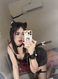 Pimmy🇹🇭 - Acompañantes transexual in Doha Photo 6 of 8