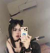 Pimmy🇹🇭 - Acompañantes transexual in Doha