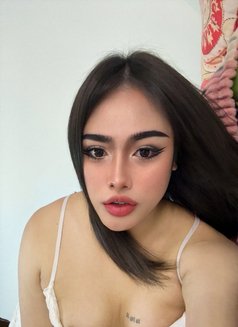 Pimmy🇹🇭 - Transsexual escort in Doha Photo 9 of 12