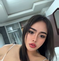 Pimmy🇹🇭 - Acompañantes transexual in Doha Photo 10 of 12