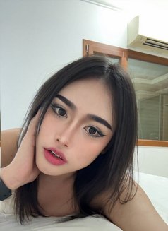 Pimmy🇹🇭 - Transsexual escort in Doha Photo 11 of 12