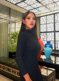 Pimtha Ladyboy 🖤 the Best Experience - Transsexual escort in Dubai Photo 12 of 12