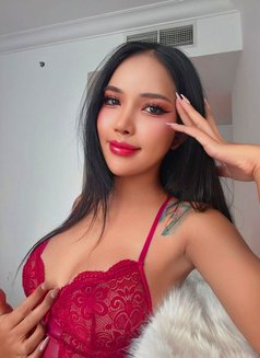 Pimtha Ladyboy 🖤 the Best Experience - Transsexual escort in Dubai Photo 3 of 12