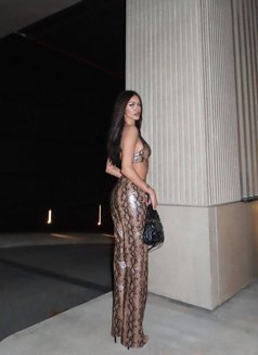 Pimtha Ladyboy 🖤 the Best Experience - Acompañantes transexual in Dubai Photo 7 of 22