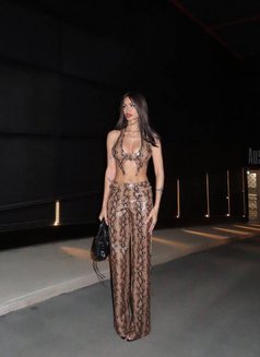 Pimtha Ladyboy 🖤 the Best Experience - Acompañantes transexual in Dubai Photo 8 of 22