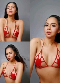 🇵🇭PINAY TOP MISTRESS ARRIVED - Transsexual escort in Brisbane Photo 1 of 30