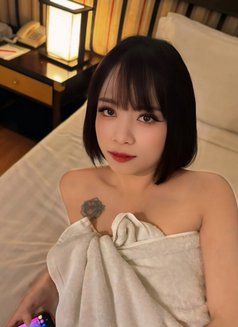 Pingky69 - Transsexual escort in Pattaya Photo 1 of 6
