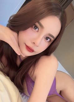 Pingping IDPD - escort in Seoul Photo 1 of 13