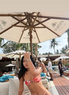 Pink - puta in Phuket Photo 8 of 8