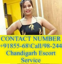 Pinky Call Girls Cash Pay Service - puta in Chandigarh