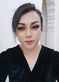 Pinky Lady Boy Thailand - Transsexual escort in Jeddah Photo 8 of 8