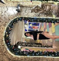 Pinky Ts - Transsexual escort in Bangkok
