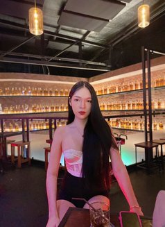 Pinpin - escort in Phuket Photo 8 of 8