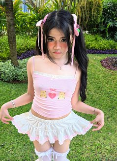 Pixieš„°Anal Princessš„°3 NIGHTS ONLY - escort in Jakarta Photo 1 of 16