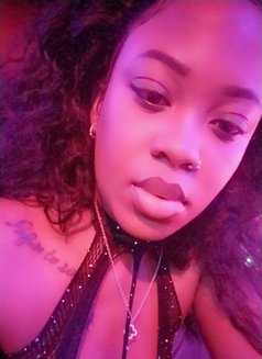 Pixie - escort in Johannesburg Photo 18 of 19