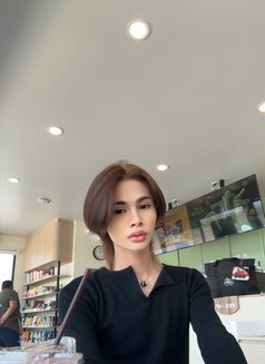 Plammy - Transsexual escort in Al Manama Photo 1 of 6