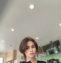 Plammy - Transsexual escort in Al Manama