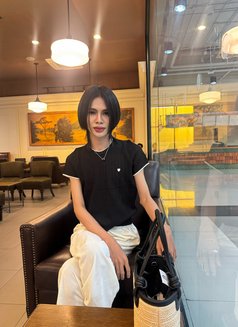Plammy - Transsexual escort in Al Manama Photo 5 of 6