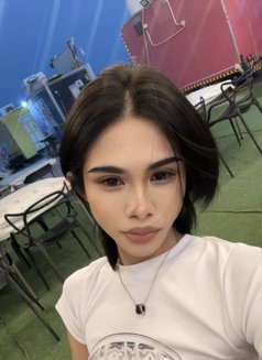 Plammy - Transsexual escort in Al Manama Photo 6 of 6